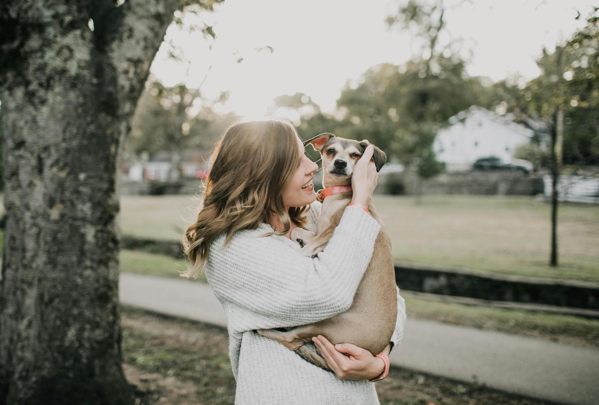 Vet Consultation Prices in Newcastle-under-Lyme